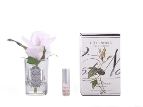 COTE NOIRE - PERFUMED NATURAL TOUCH ROSE BUD - FRENCH PINK