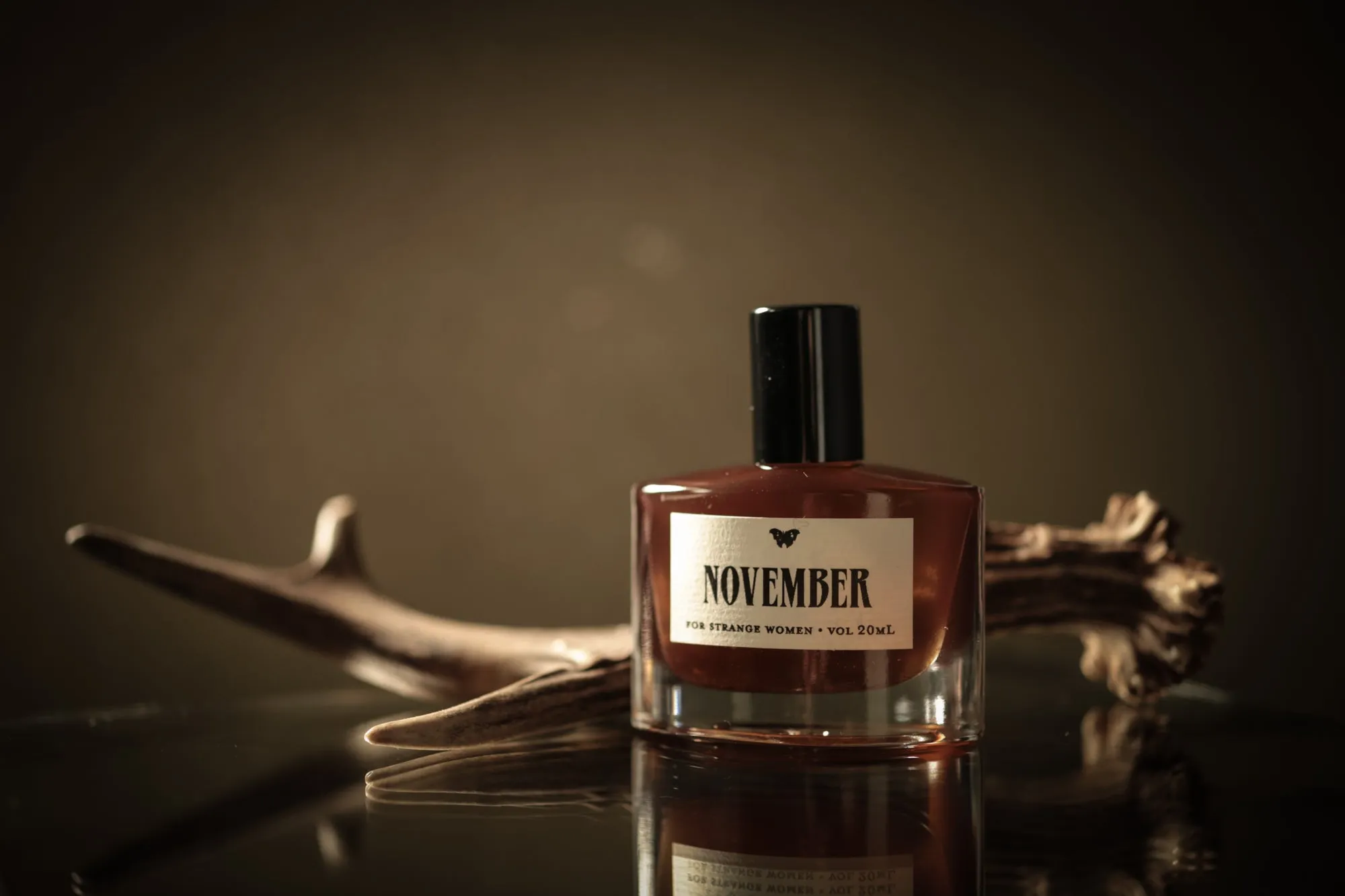 November in the Temperate Deciduous Forest - Perfume Oil