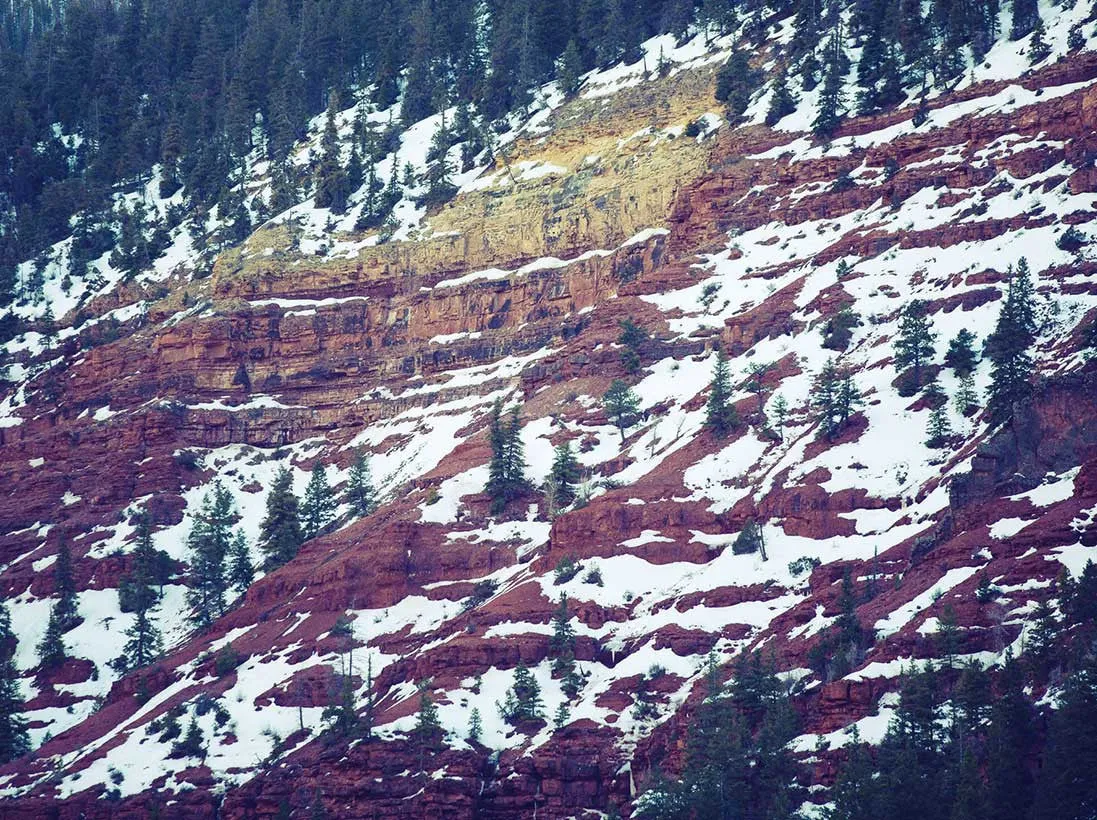 Telluride Perfume